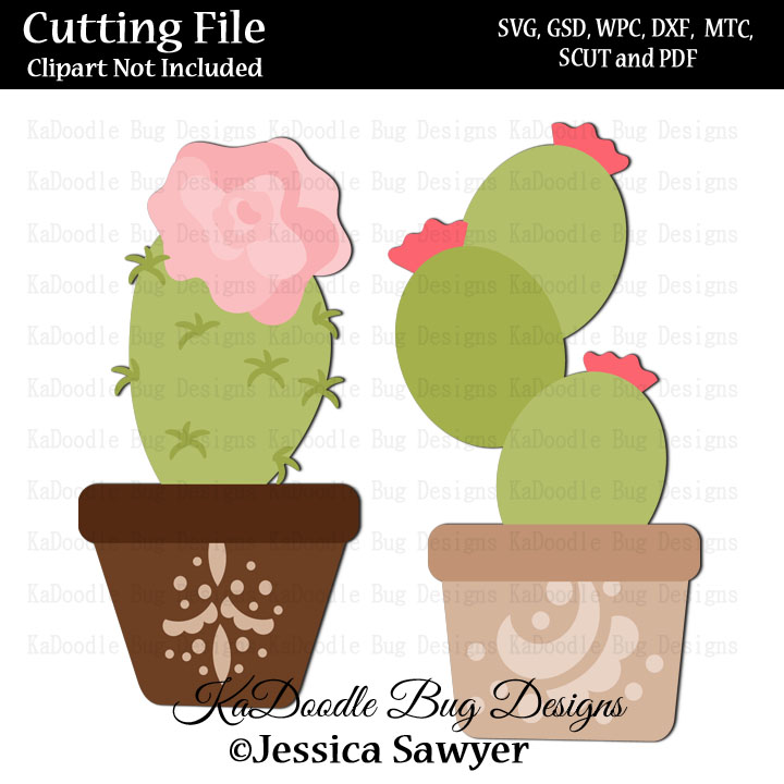 JS Spring Cactus